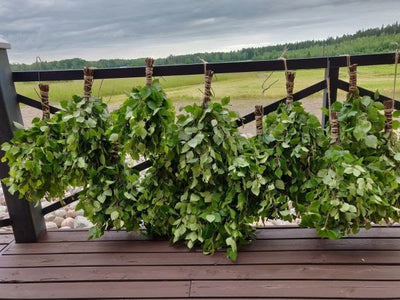Puutarhurin perjantaipostia 12.7.2019