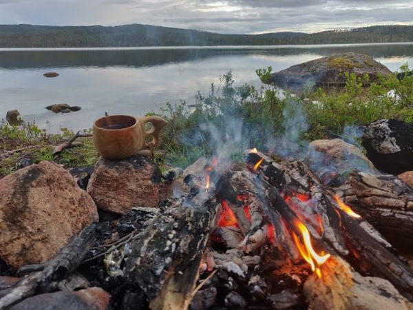 Puutarhurin perjantaipostia 7.7.2019