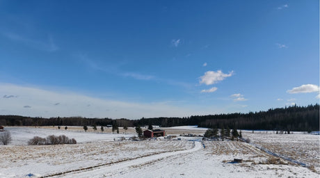 Terveisiä kasvihuoneelta, Harsosääskistä, Tunnetko perliitin ja vermikuliitin erot, ym. 14.3.2025
