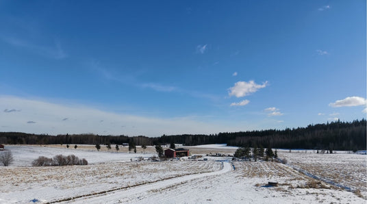 Terveisiä kasvihuoneelta, Harsosääskistä, Tunnetko perliitin ja vermikuliitin erot, ym. 14.3.2025