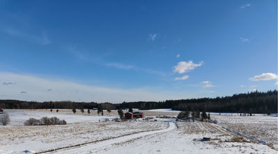 Terveisiä kasvihuoneelta, Harsosääskistä, Tunnetko perliitin ja vermikuliitin erot, ym. 14.3.2025