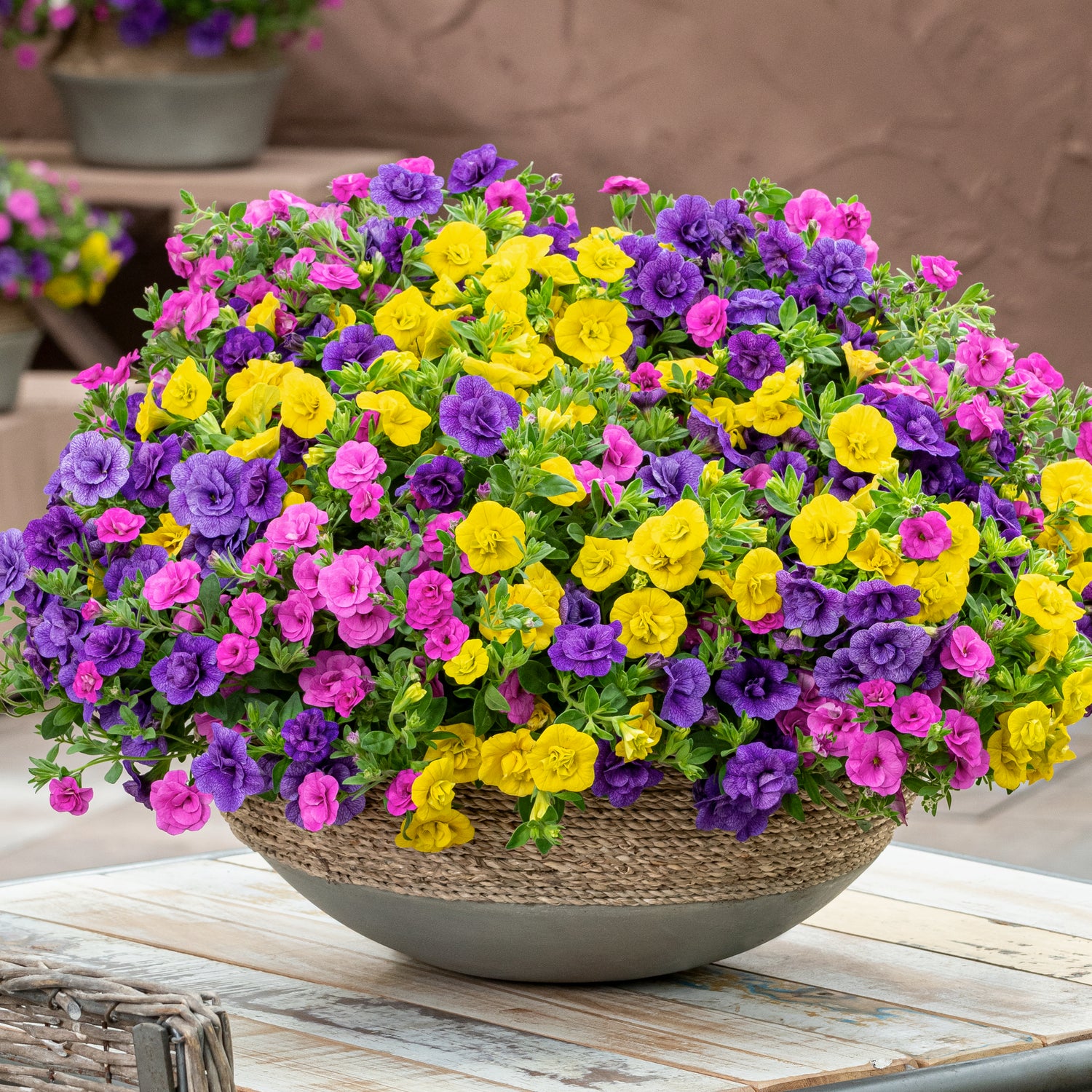 Miljoonakello 'Yellow Jazz' 4 kpl