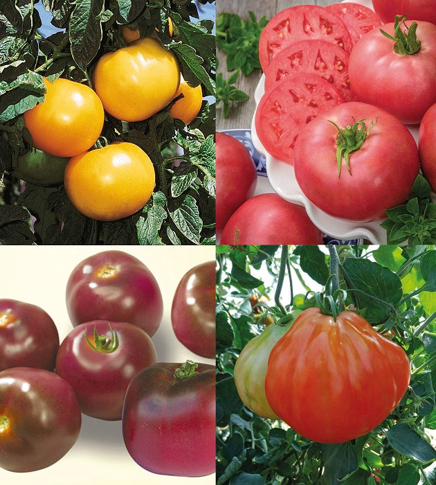 4 kpl Tomaattilajitelma (1+1+1+1)