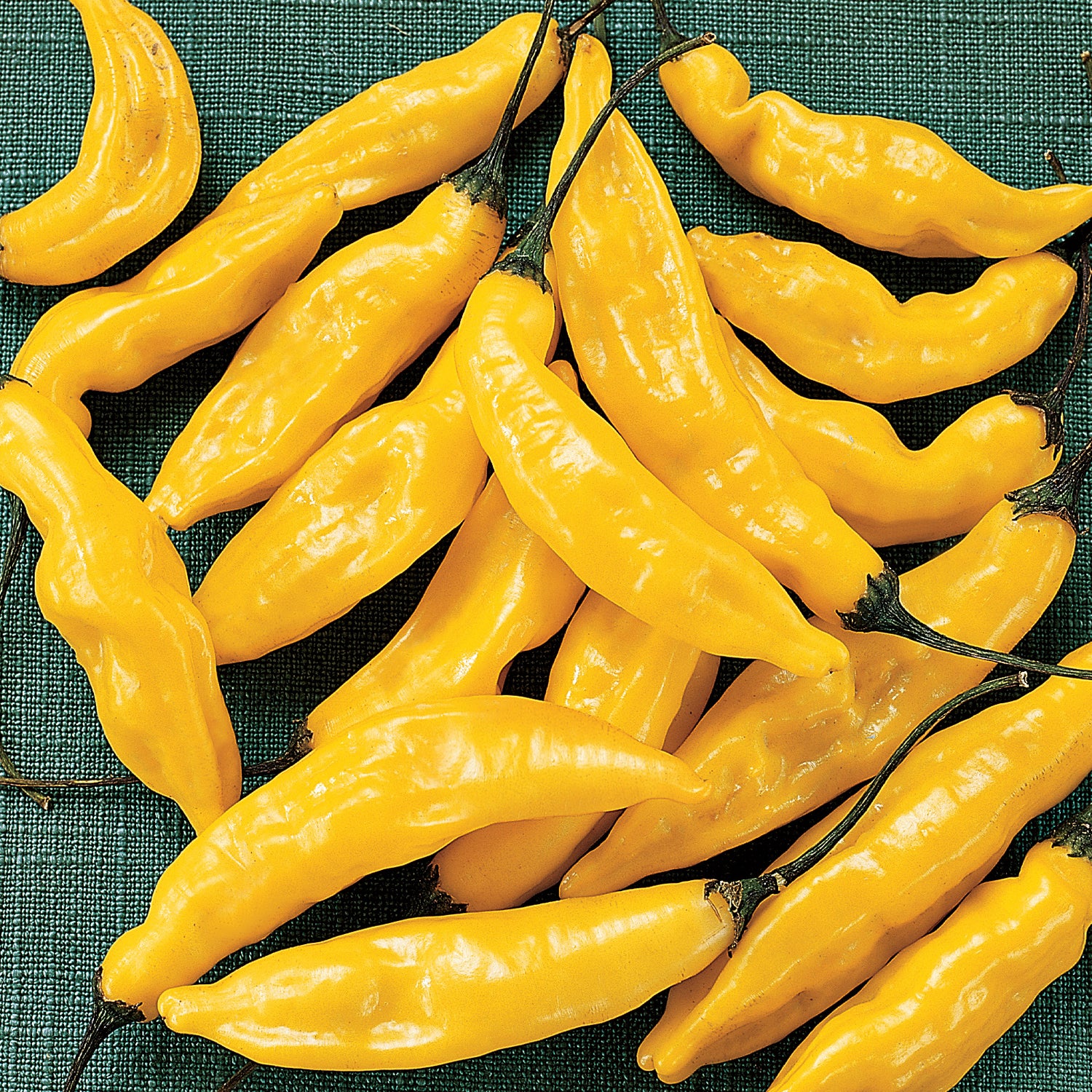 Chili lajitelma 4 kpl