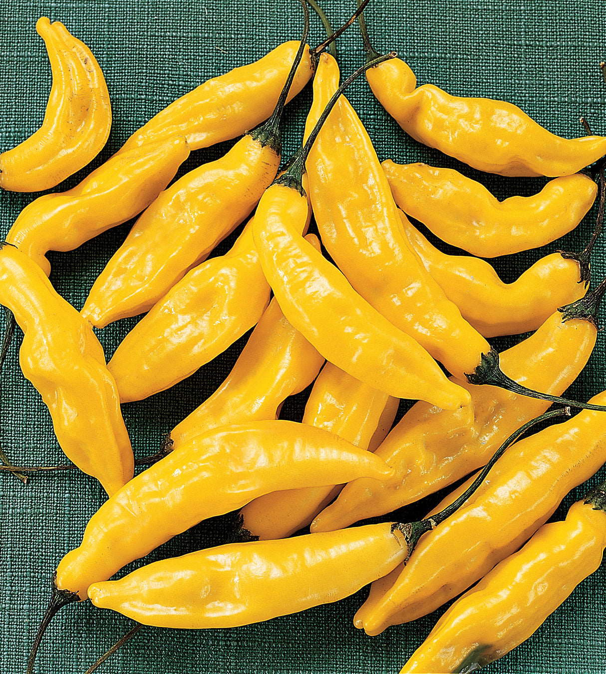 Chili lajitelma 4 kpl