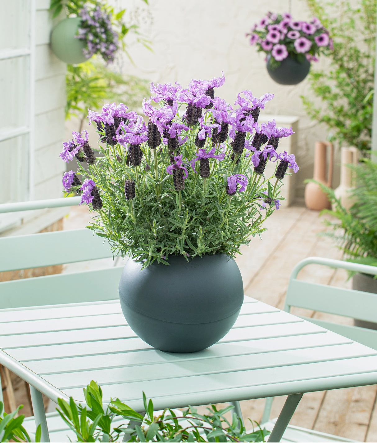 3 kpl Amppeliruukku Valkoinen