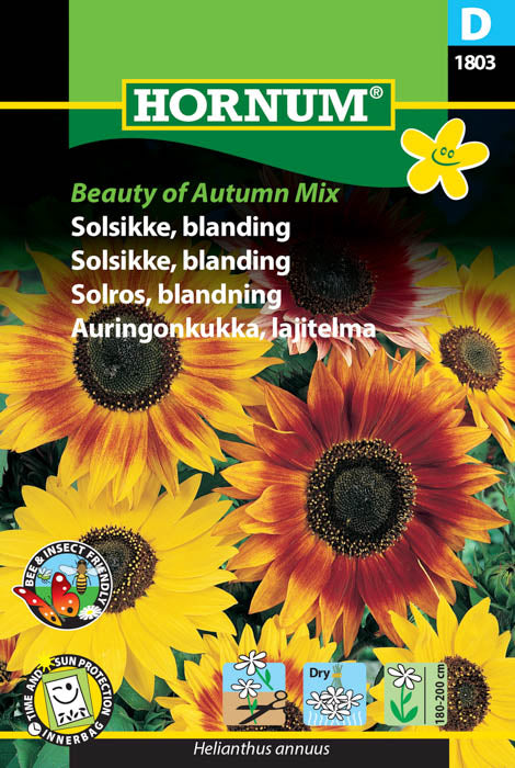 1 pss Auringonkukka Beauty of Autumn Mix
