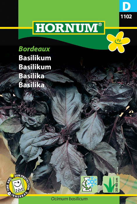 1 pss Basilika Bordeaux