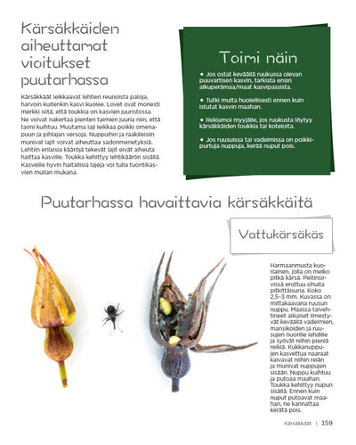 Puutarhurin Ötökkäopas