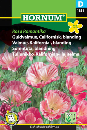 1 pss Kaliforniantuliunikko Rosa Romantika