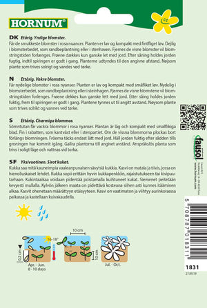 1 pss Kaliforniantuliunikko Rosa Romantika
