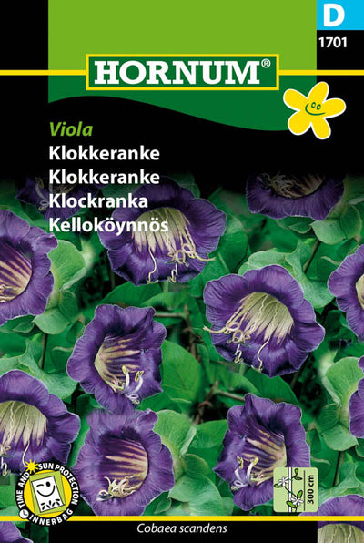 1 pss Kelloköynnös Viola