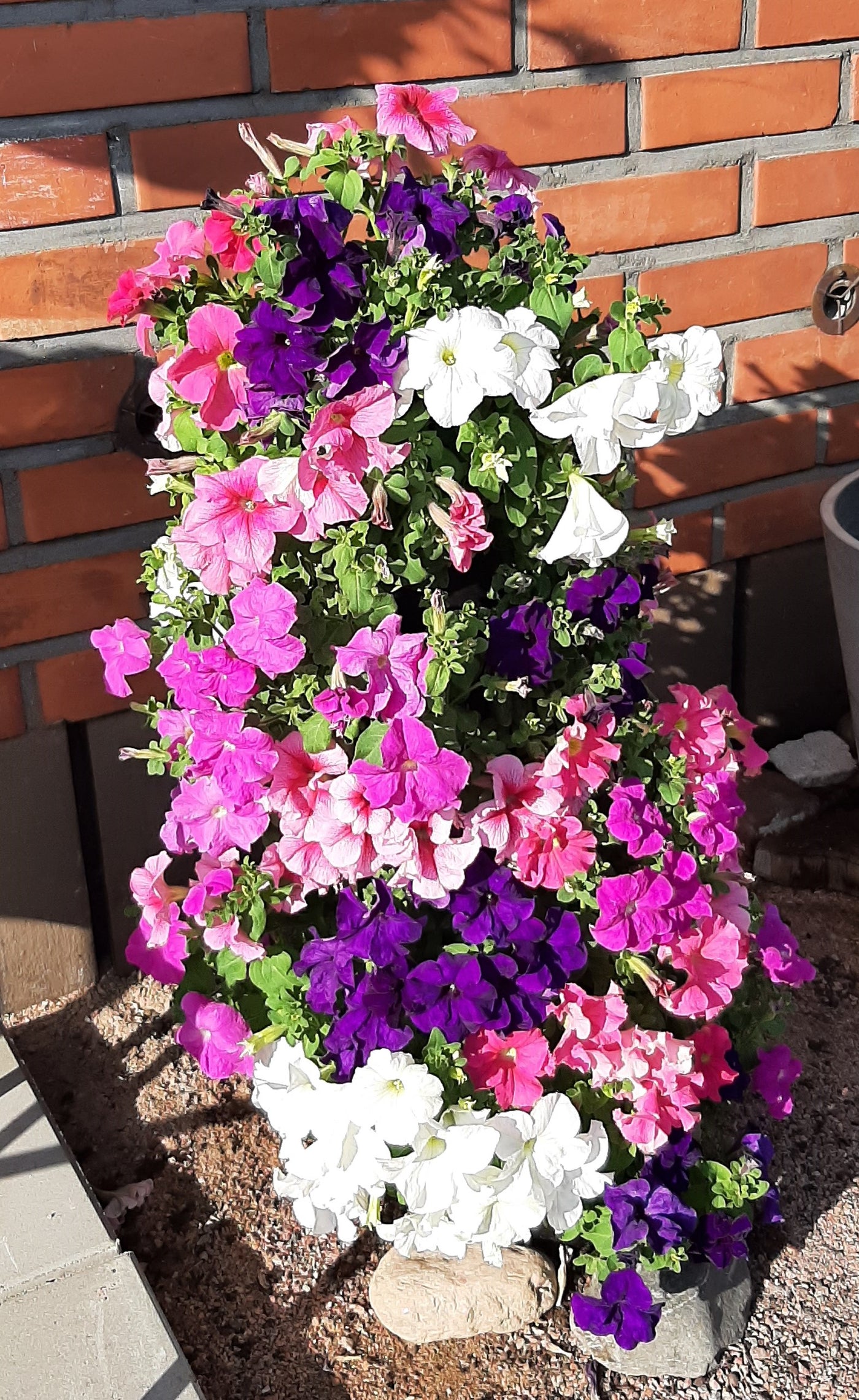 Kukkatorni 'Flower Tower'