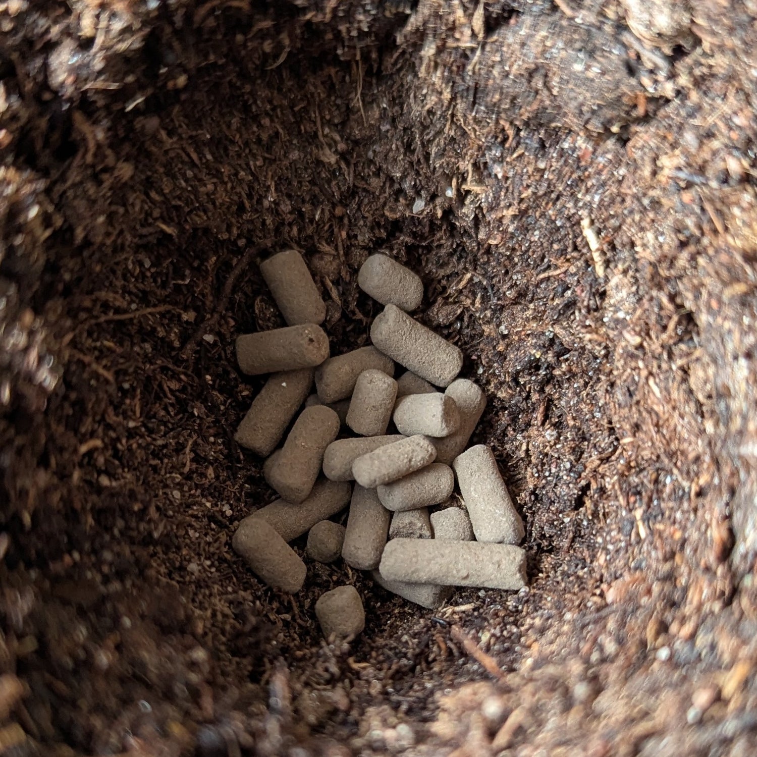 Juurtumisrae Mykorritsa 100g