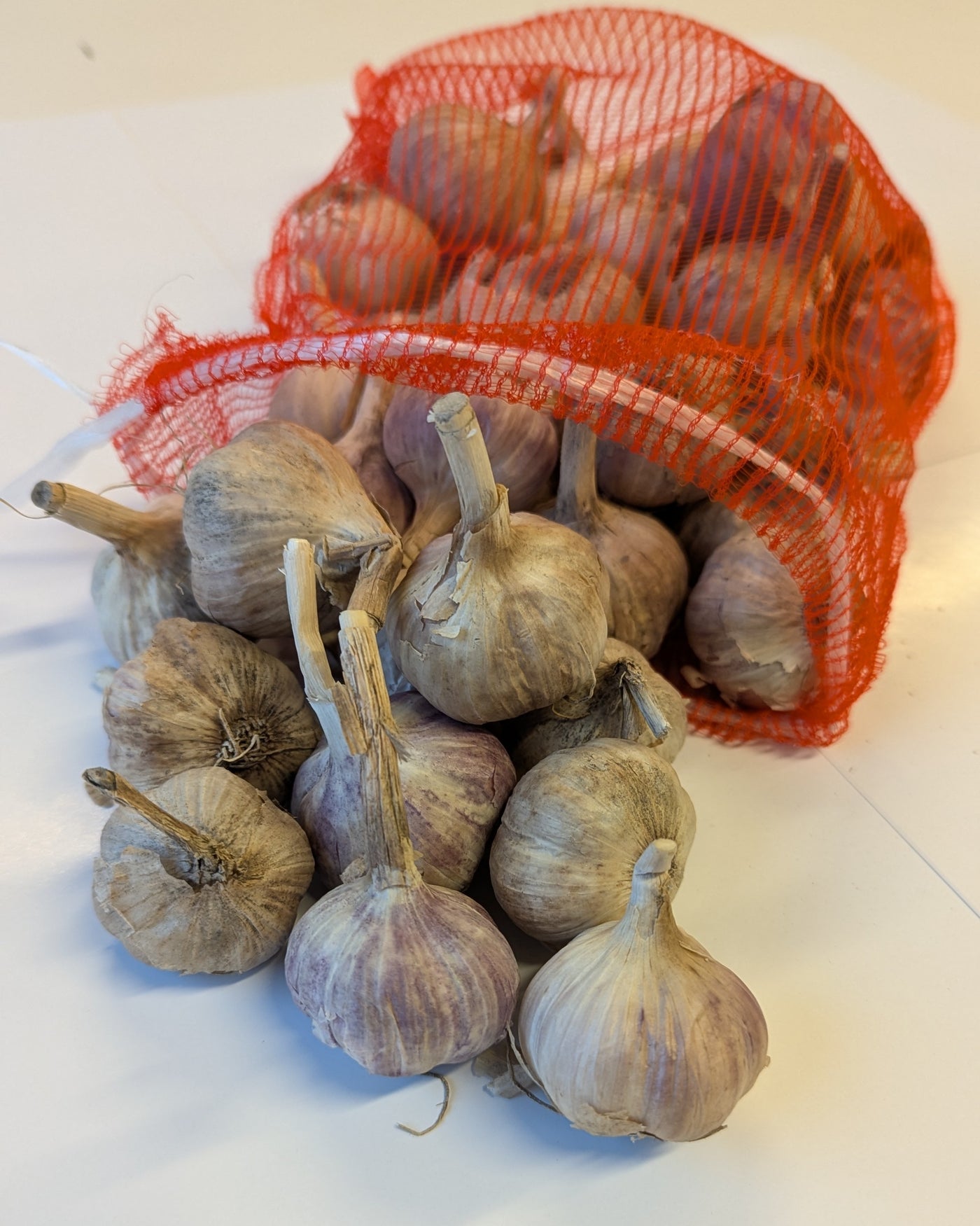 Ruokavalkosipuli 1 kg