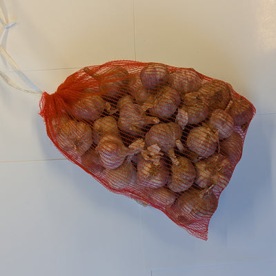Ruokavalkosipuli 1 kg