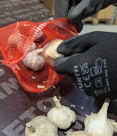 Ruokavalkosipuli 1 kg