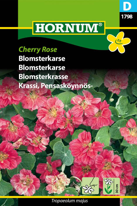 1 pss Pensasköynnöskrassi Cherry Rose