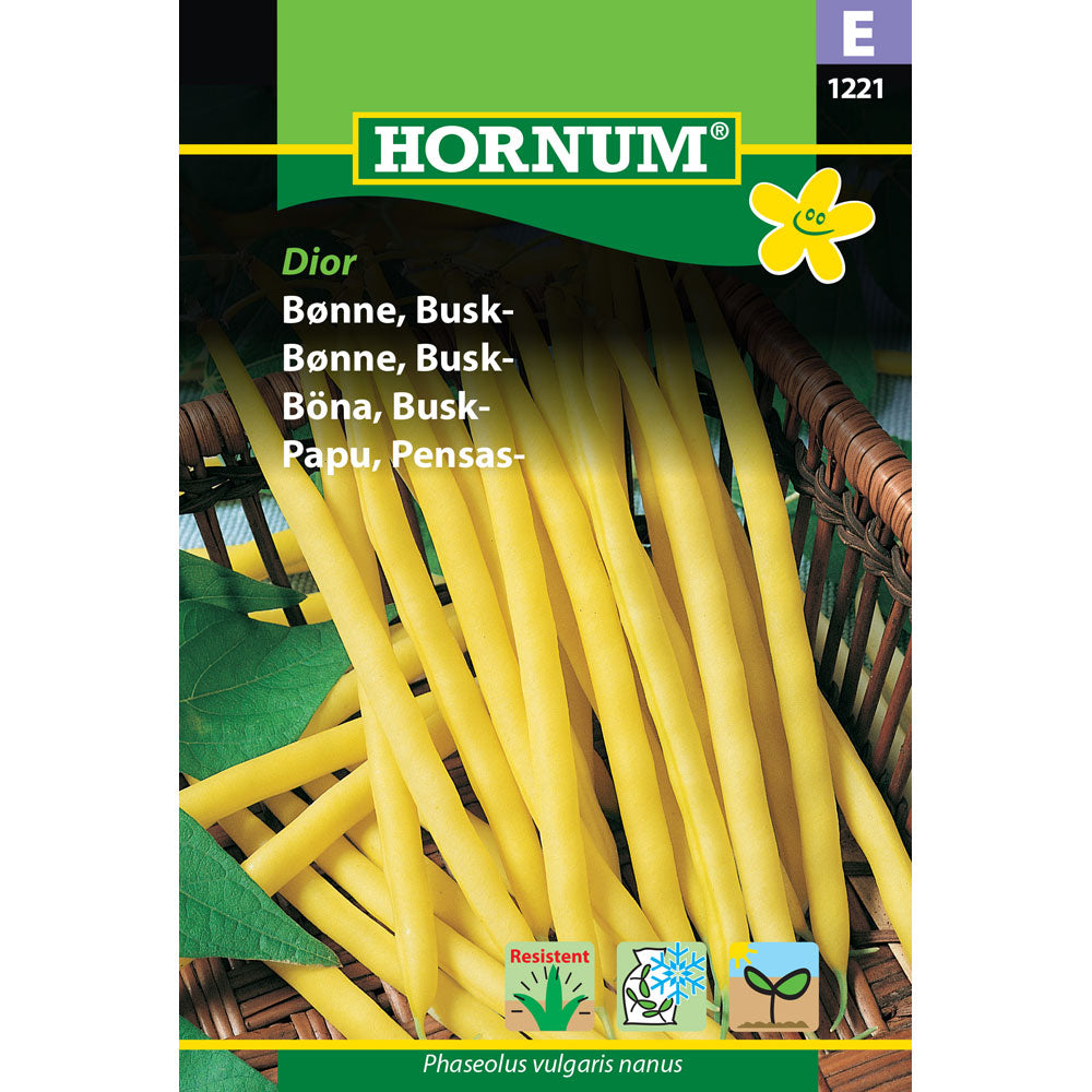 1 pss Pensaspapu Dior