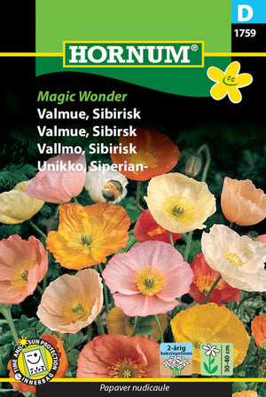 1 pss Siperianunikko Magic Wonder