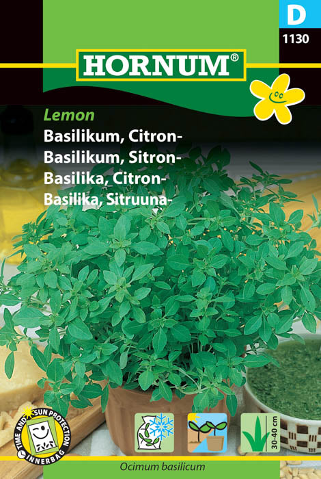 1 pss Sitruunabasilika Lemon