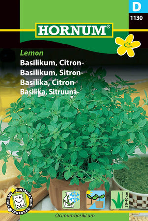 1 pss Sitruunabasilika Lemon
