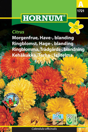 1 pss Tarhakehäkukka Citrus, lajitelma