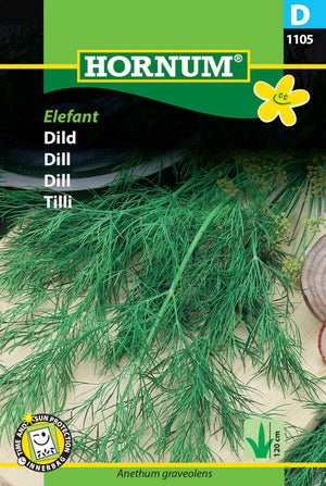 1 pss Tilli Tetra Dill
