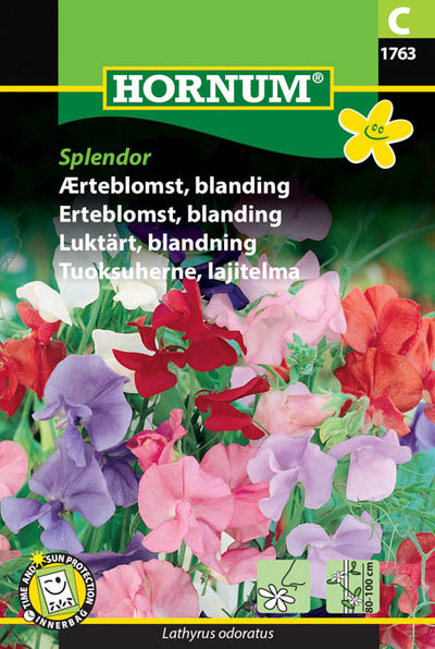 1 pss Tuoksuherne Splendor, lajitelma