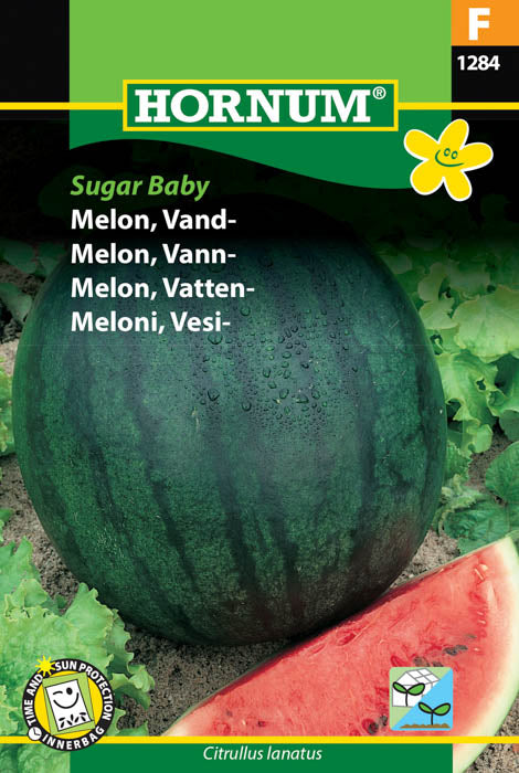 1 pss Vesimeloni Sugar Baby