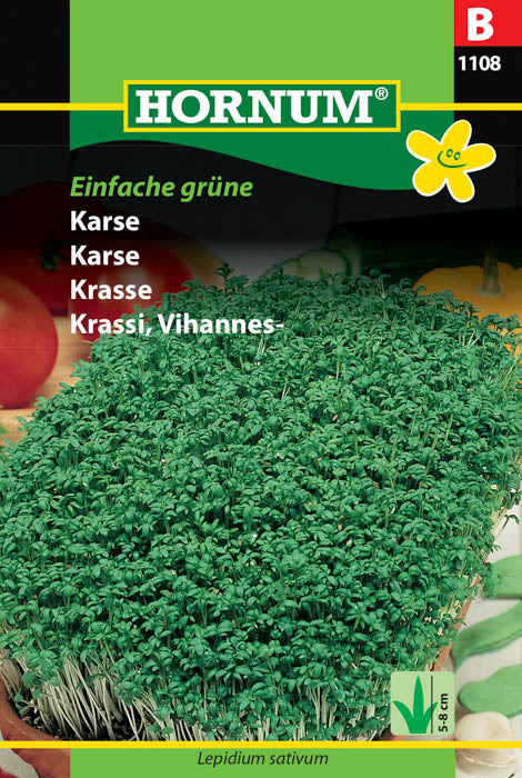 1 pss Vihanneskrassi Einfache grüne