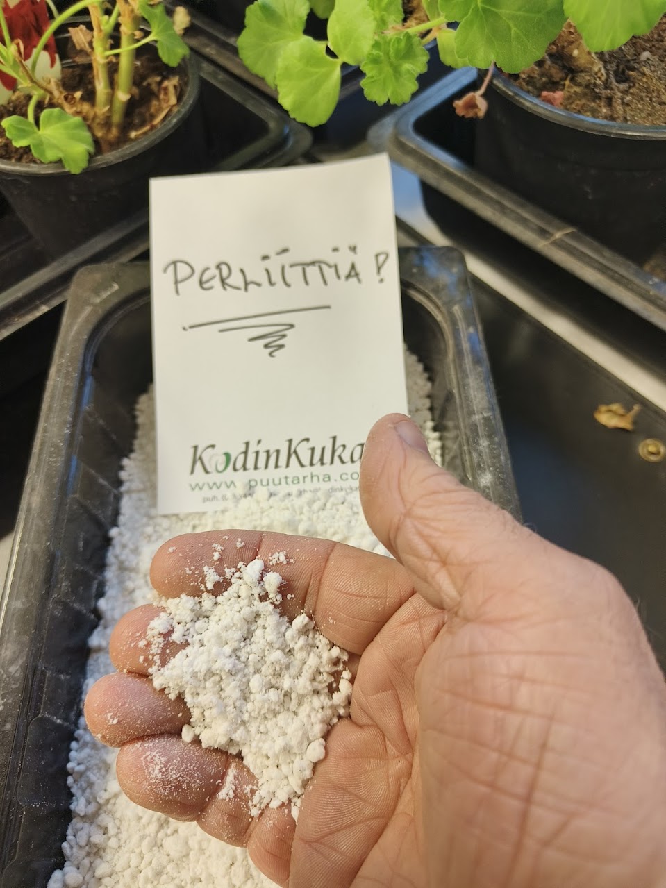 Perliitti 0,5 L