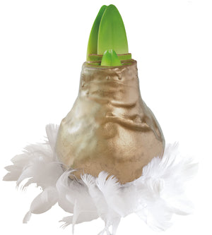 1 kpl Vaha-amaryllis Feather Gloss Gold