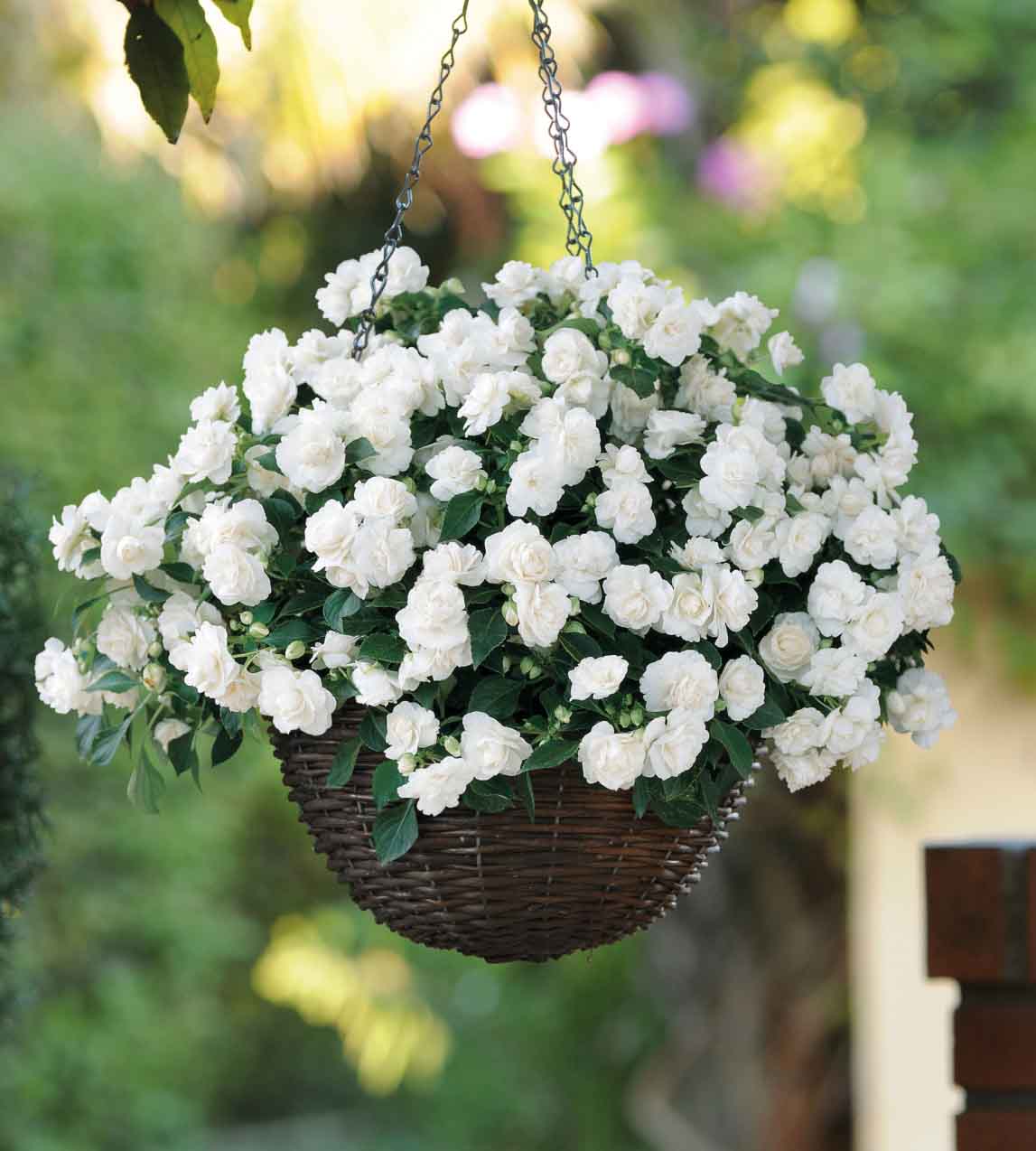 4 kpl Ahkeraliisa ’Fiesta Bonita White’