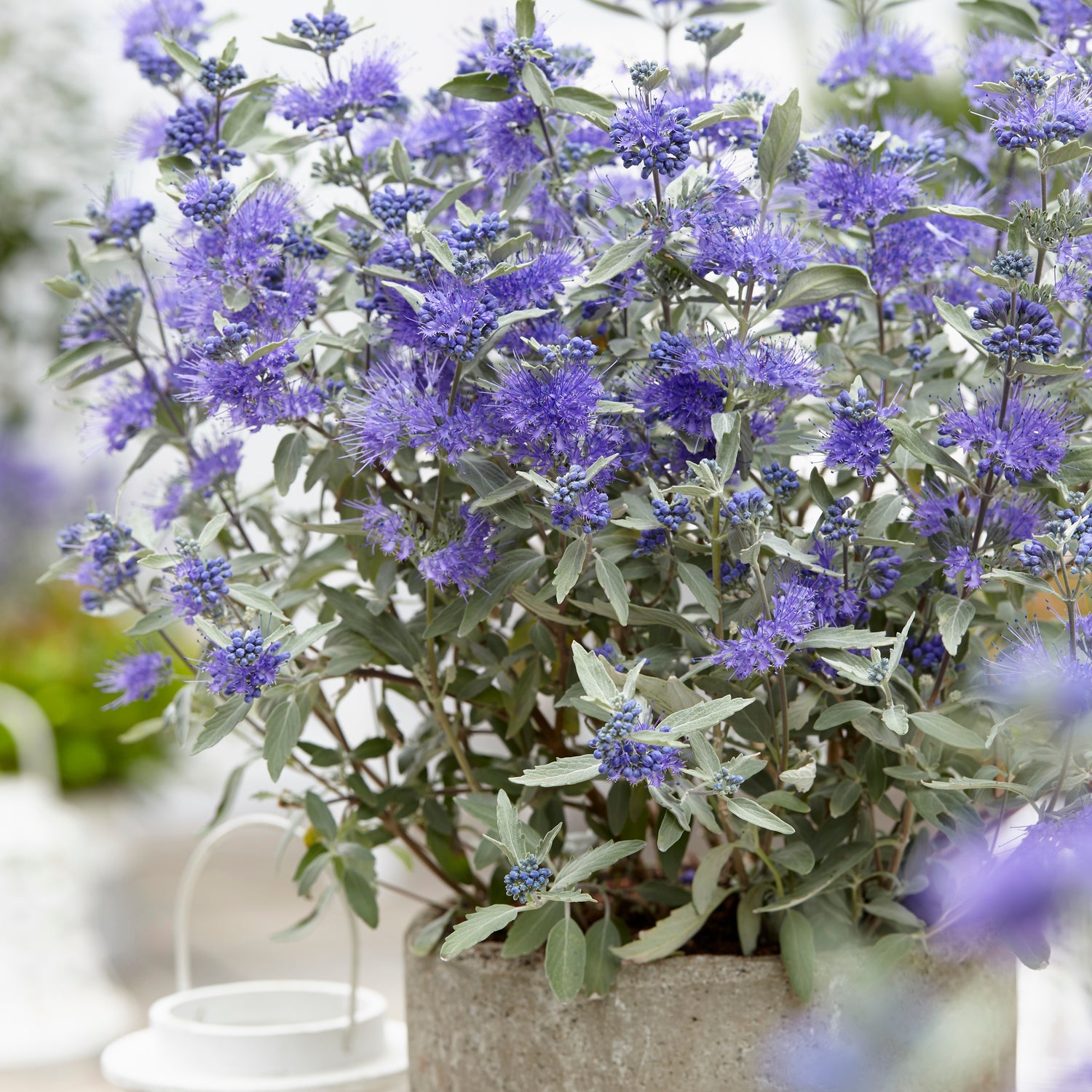 3 kpl Jalorautaoksa ’Sterling Silver’