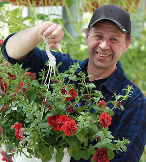 3 kpl Petunia ’Double Red’