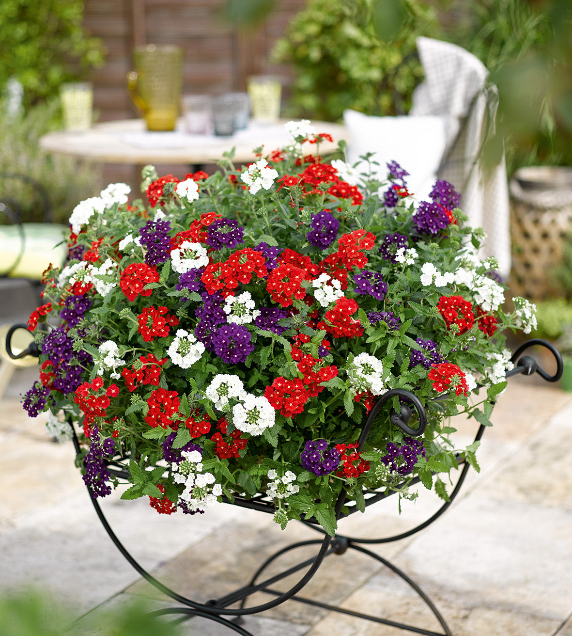 4 kpl Verbena mix