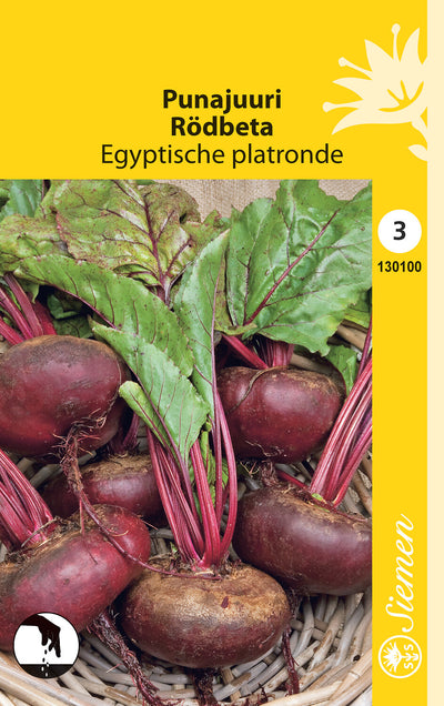 1 pss Punajuuri Egyptiläinen