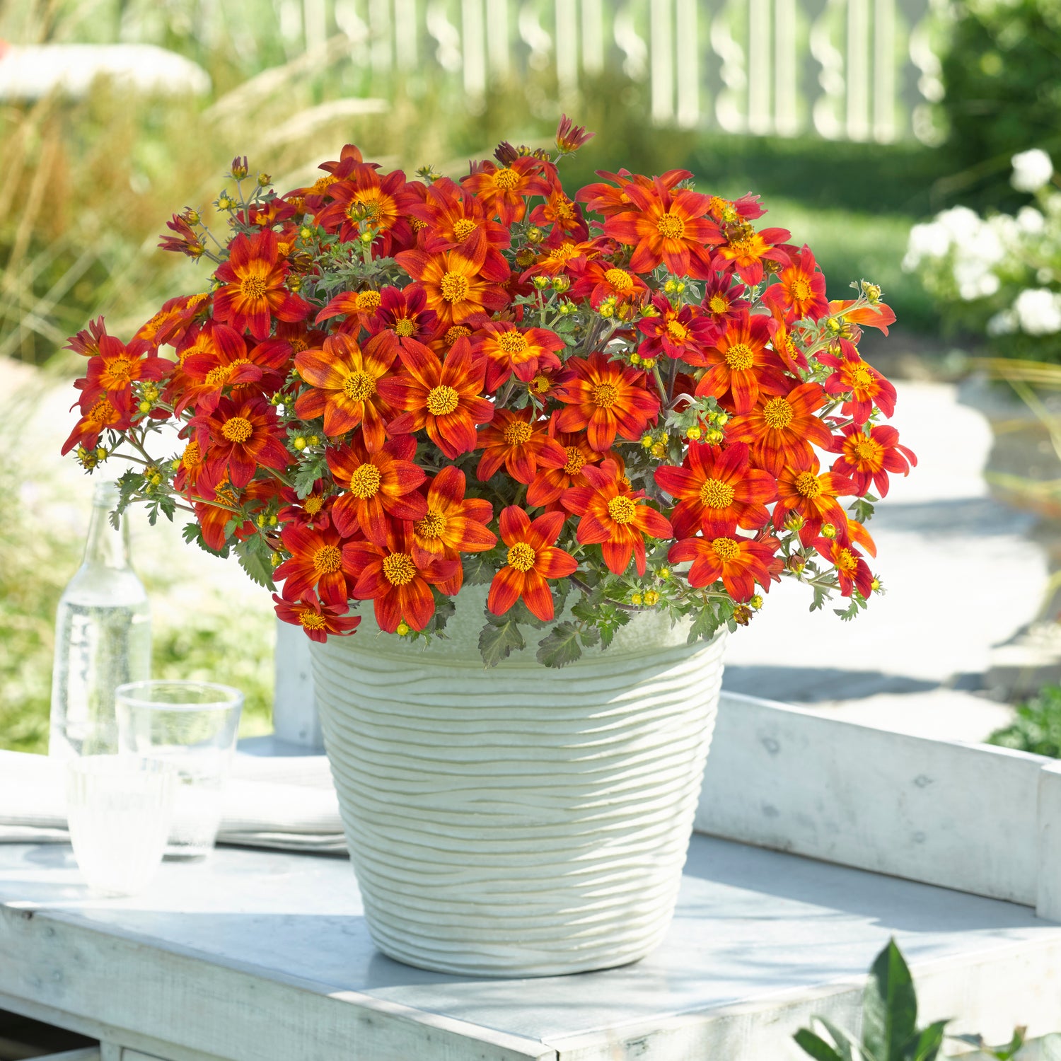 Rusokki 'Bee Happy Red’ 5 kpl