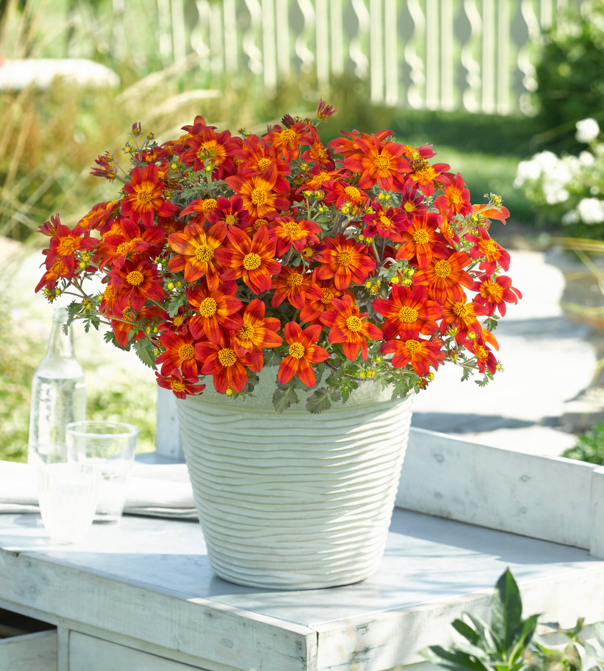 Rusokki 'Bee Happy Red’ 5 kpl
