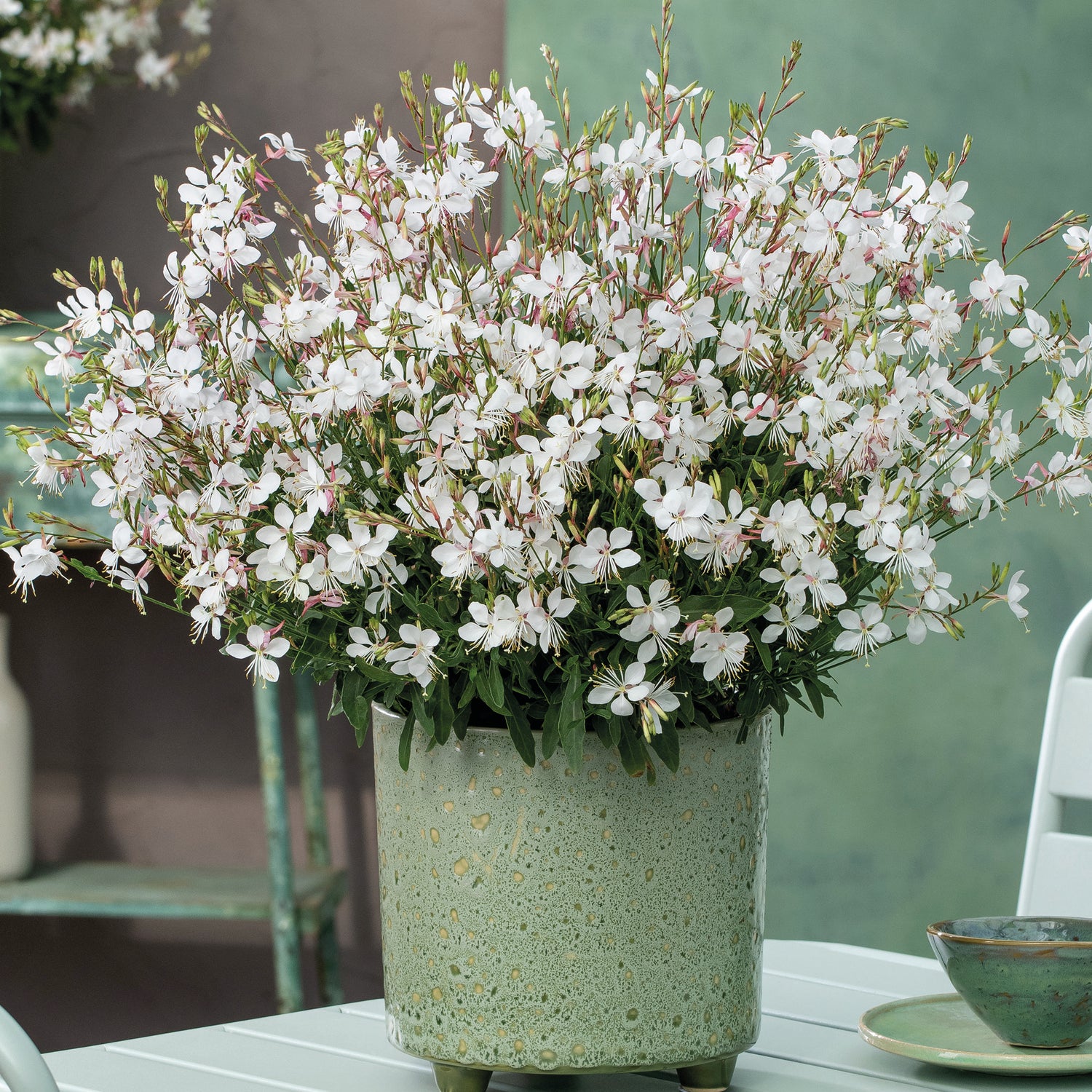5 kpl Kesäkynttilä ’Gaudi Medium White’