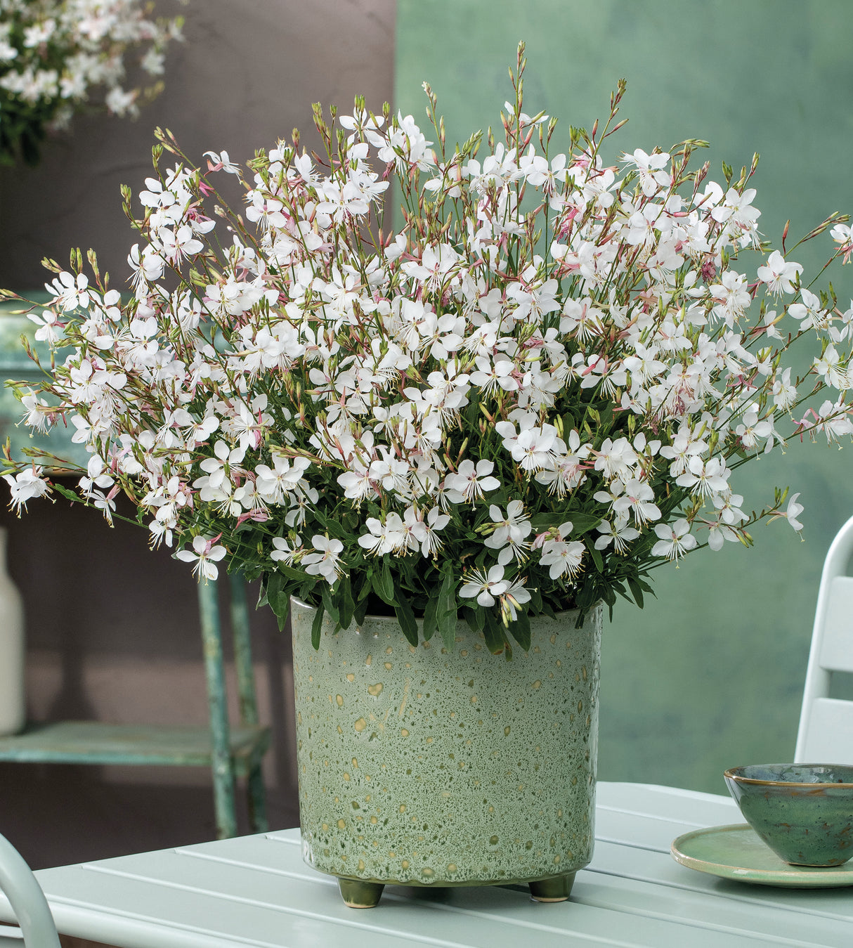 5 kpl Kesäkynttilä ’Gaudi Medium White’