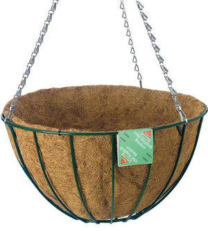 Erikoisamppeli, Easy vaihtosisus 30 cm