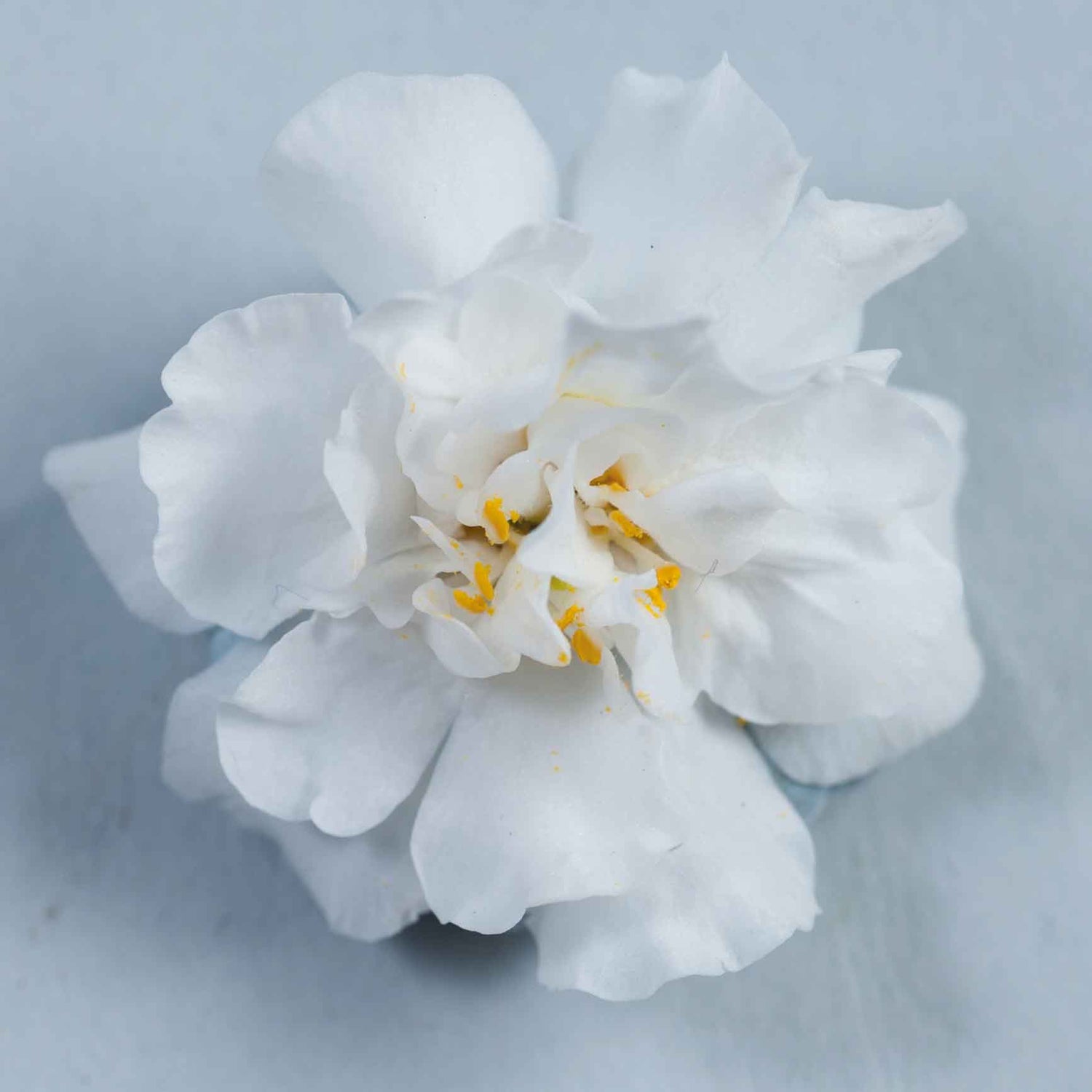 Lumihiutale 'Double Snowball' 5 kpl