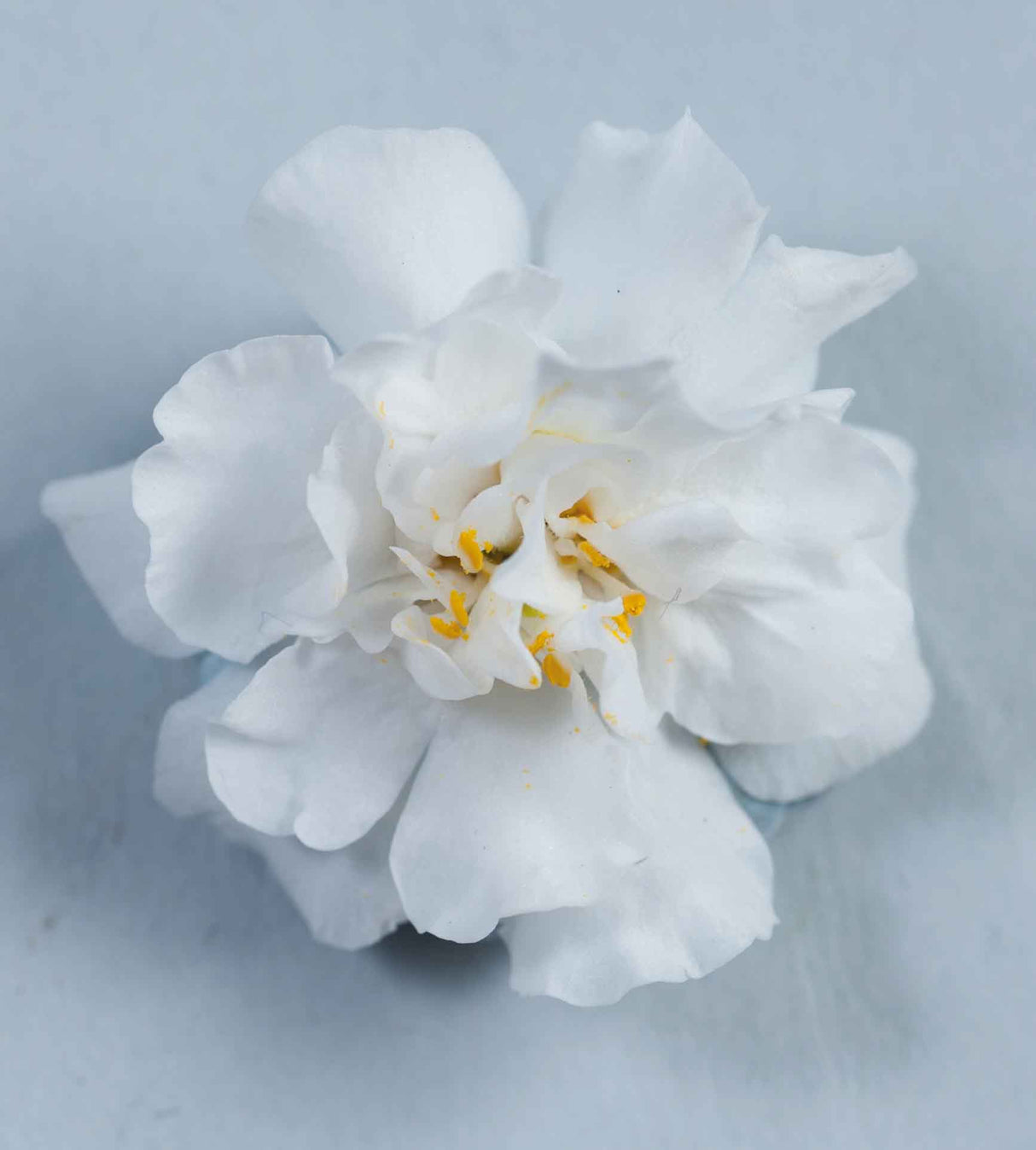 Lumihiutale 'Double Snowball' 5 kpl