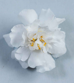 Lumihiutale 'Double Snowball' 5 kpl