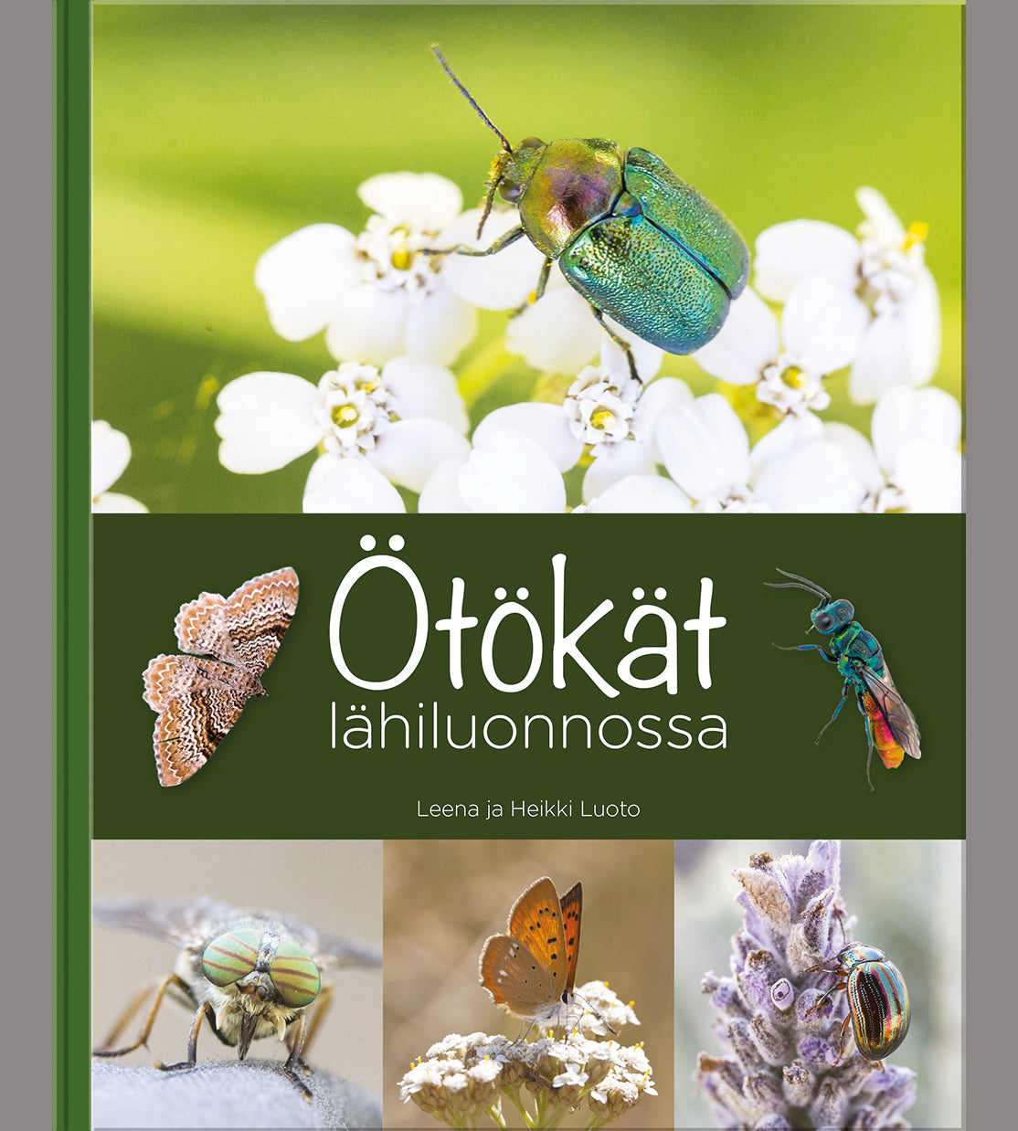Kirja Ötökät lähiluonnossa