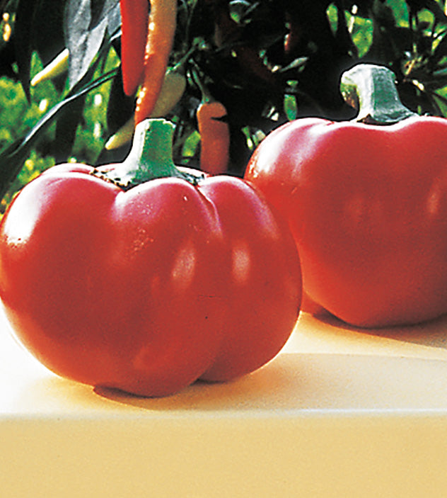 3 kpl Tomaattipaprika 'Pritavit'