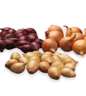 Istukassipulisekoitus 500 g