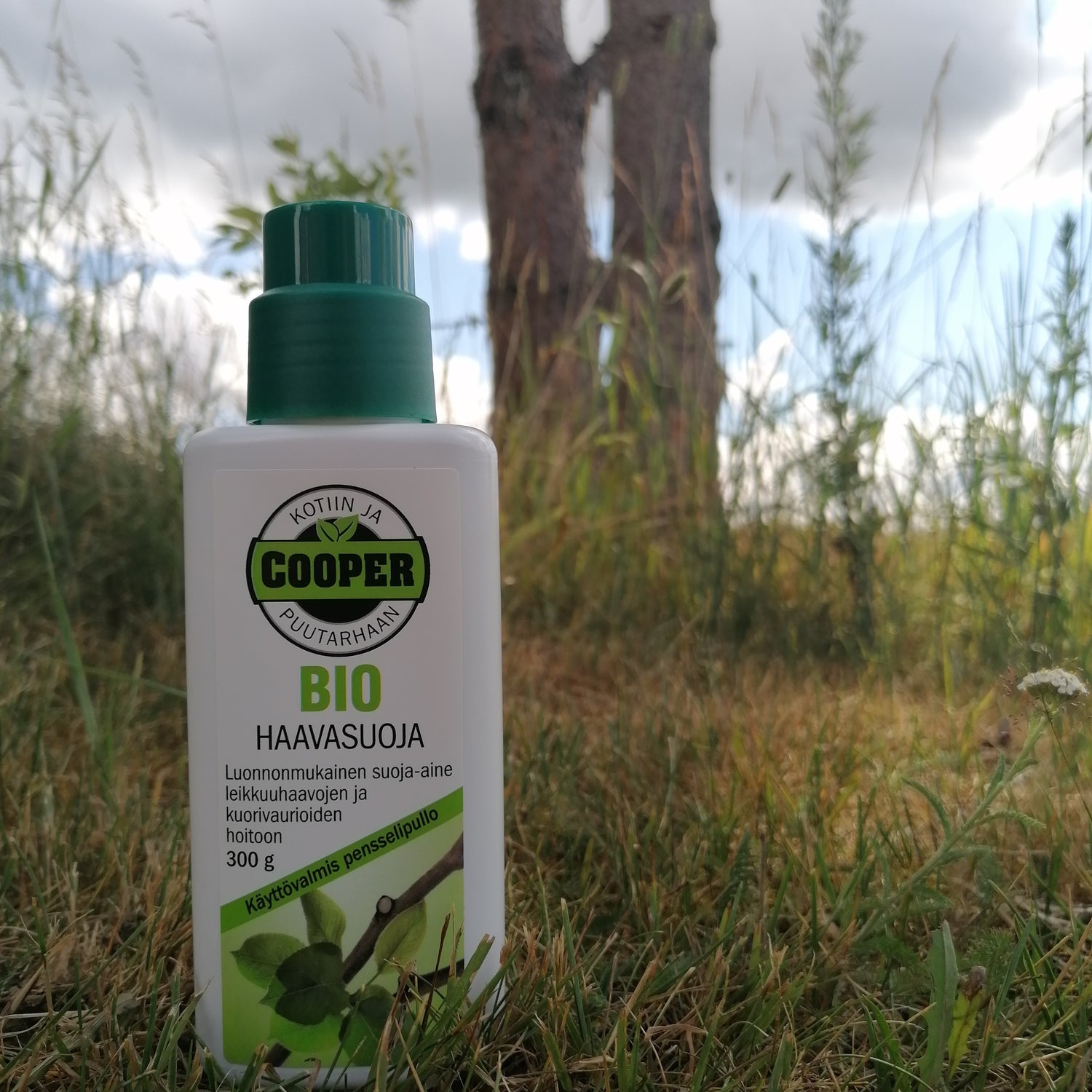BIO Haavasuoja 300 g
